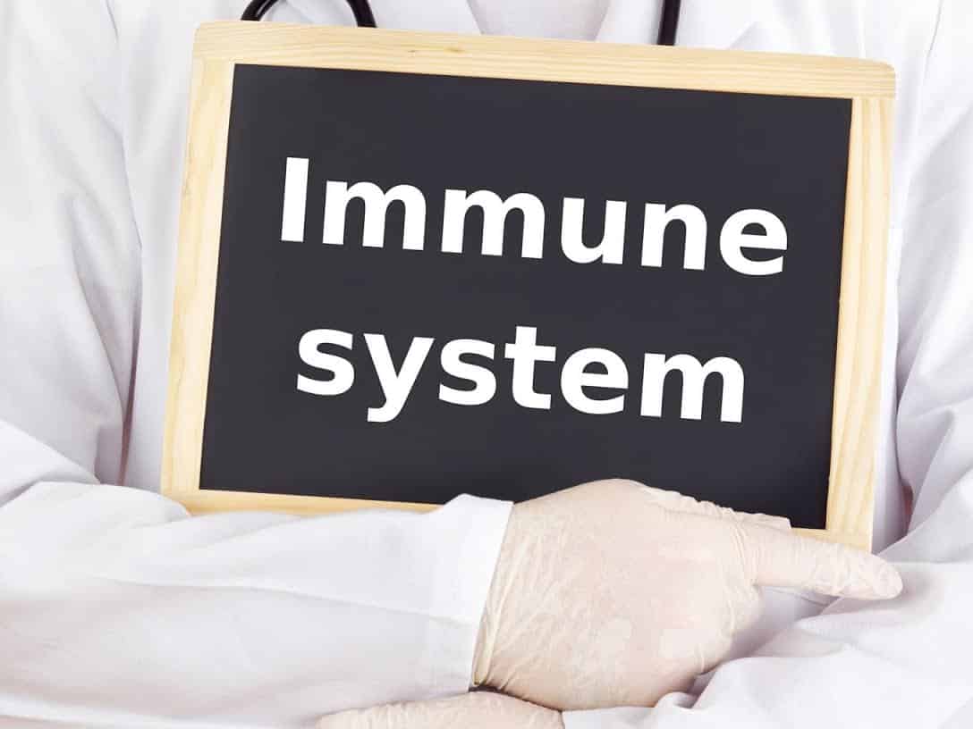 Exciting New Discoveries – How the Immune System Controls Social Behavior