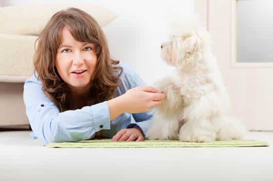 owning a pet is good for your physical and mental health